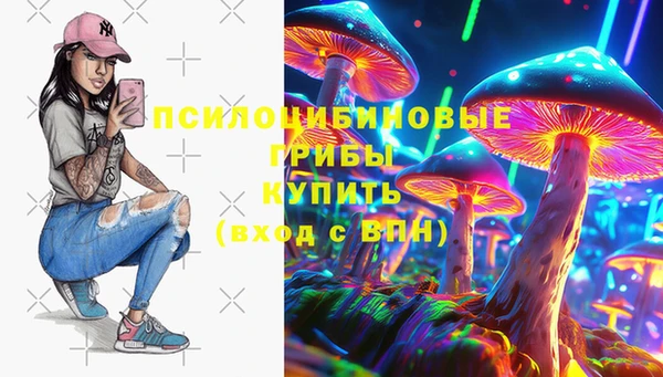 эйфоретик Алексин